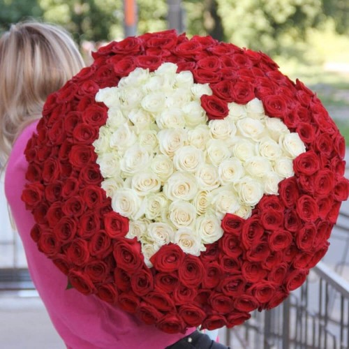 201 красно-белая роза сердцем "Большая Любовь"